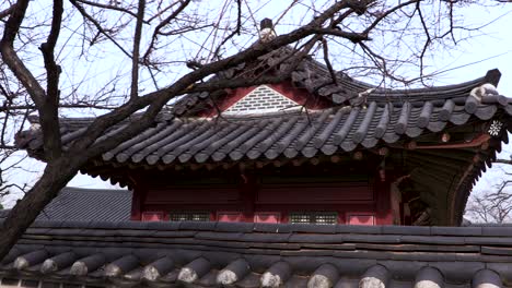 View-of-wall-and-building-of-Palace-in-Suwon,-S