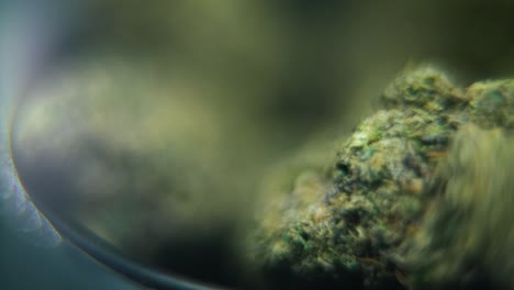 Macro-smooth-video-of-a-cannabis-plant,-hybrid-strains,-Indica-,-marijuana-flower,-on-a-rotating-stand,-slow-motion,-120-fps,-studio-lighting,-dreamy-depth-of-field