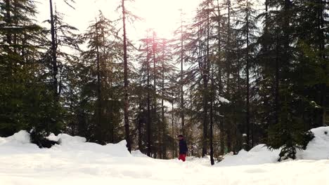 Person-In-Schneelandschaft-Und-Baumschule-Im-Tal-Naturlandschaftsbau-Schneewasser-Wandelt-Sich-In-Bewässerungswasser-Um