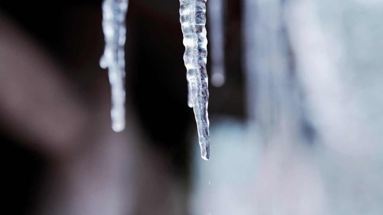 Close up shot of an impressive icicle which is slowly melting as the seasons change and finally water drops form on the tip