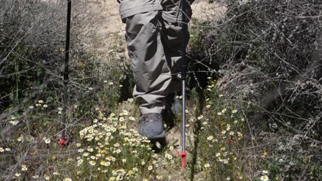 cierre la cámara lenta de las piernas del excursionista mientras camina por un sendero del desierto a través de flores silvestres y vegetación espesa