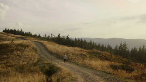 jogger running on road in mountains. tired runner taking rest during workout