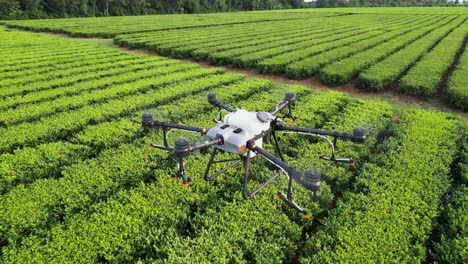 aerial revealing shot of a dji agras t30 scanning a field ready to spray