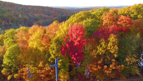 colorful autumn forest in estrie, quebec, canada - drone shot