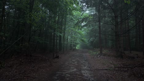 darkness envelopes countryside track, creepy chilling eerie scenery