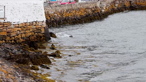 waves hitting stone wall in fife, scotland