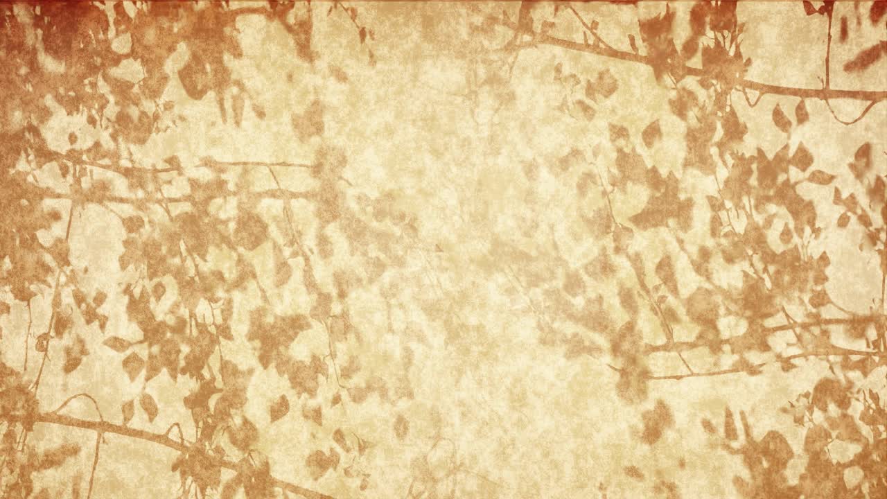 노란색 하늘을 배경으로 아진 잎자루