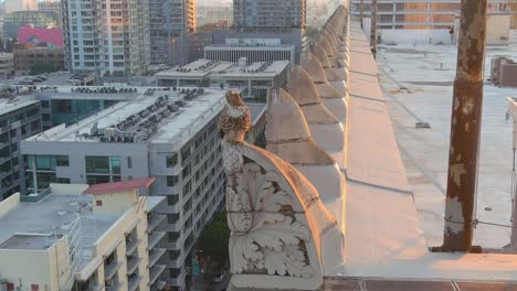 Cooper-Hawk-close-up-|-Perched-in-downtown-Los-Angeles-|-Golden-Hour-lighting