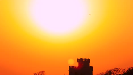 Rackfocus-Silhouetten-Von-Vögeln,-Die-Während-Der-Goldenen-Stunde-Gegen-Den-Leuchtend-Orangefarbenen-Himmel-Nach-Hause-Fliegen