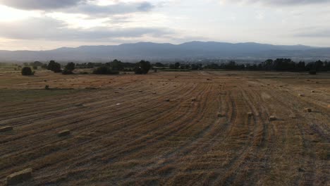 Tiempo-De-Cosecha-En-Agricultura