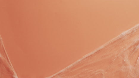 video of halloween spider's web and copy space on orange background