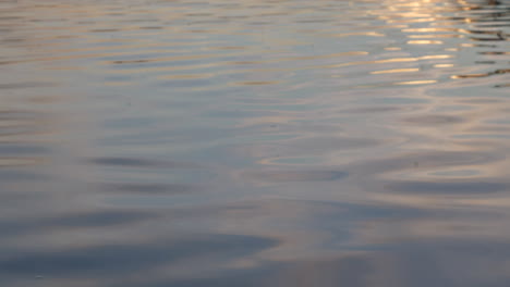 Reflejo-De-La-Puesta-De-Sol-Sobre-El-Mar-Suave-Y-Reluciente.-Tiro-Estático