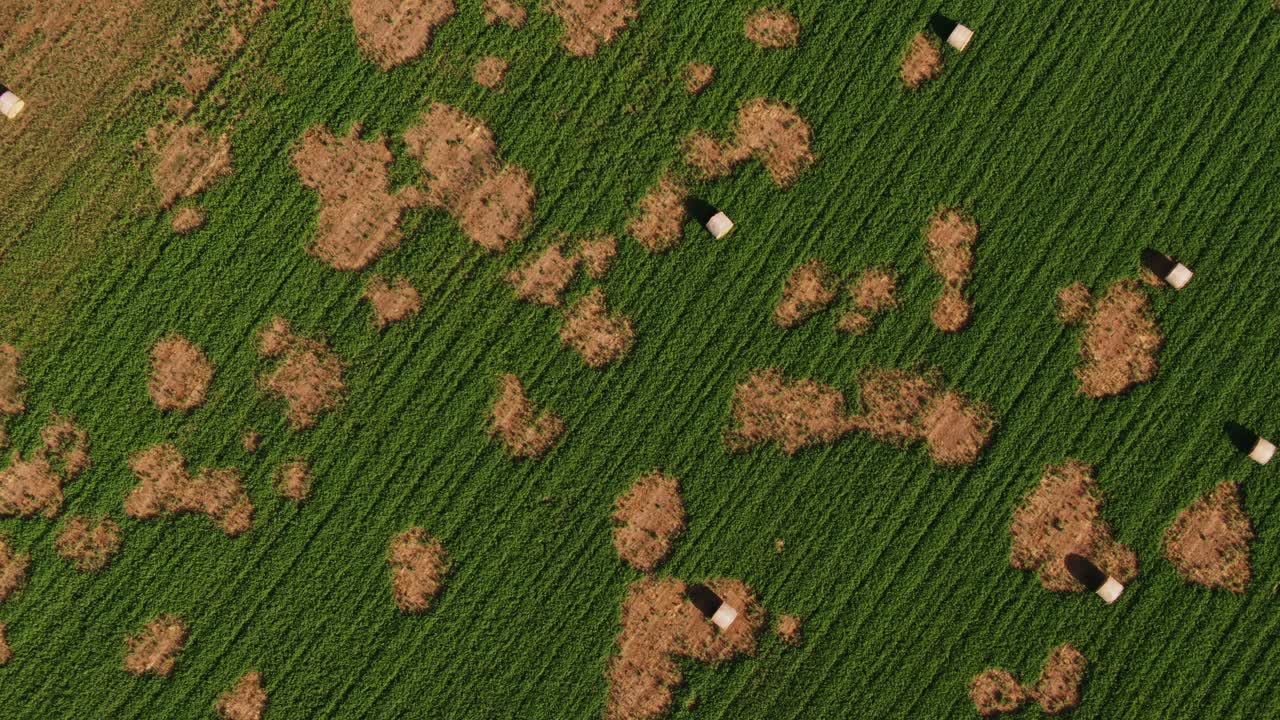 Aerial View of Hay Bales in patchy green field