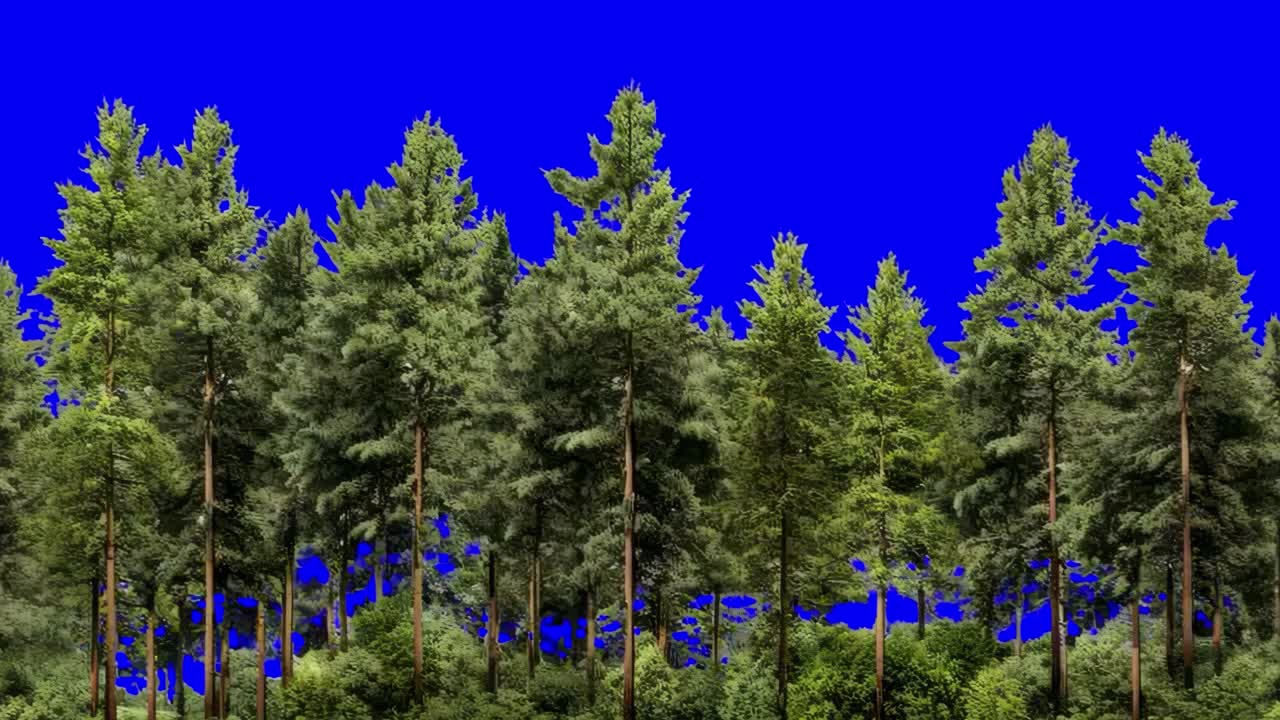 Green forest border animation, transparent 4K video, green screen