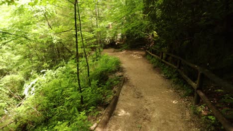 nature hike at natural bridge state park, kentucky
