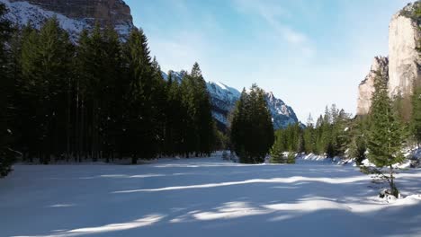 Paisaje-Nevado-Con-Pinos-Y-árboles-De-Invierno