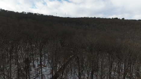 Drone-Volando-Sobre-árboles-Muertos-Sin-Hojas-En-Invierno,-Suelo-Nevado,-Adelante,-Aéreo