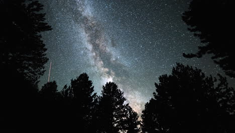 4k-Astro-Timelapse-Milkyway-Sobre-Pinos-Altos-Bosque-Transición-De-Noche-A-Día