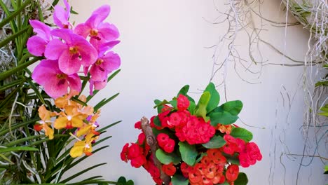 hermosa vista de flores de colores que se balancean bajo la brisa ligera