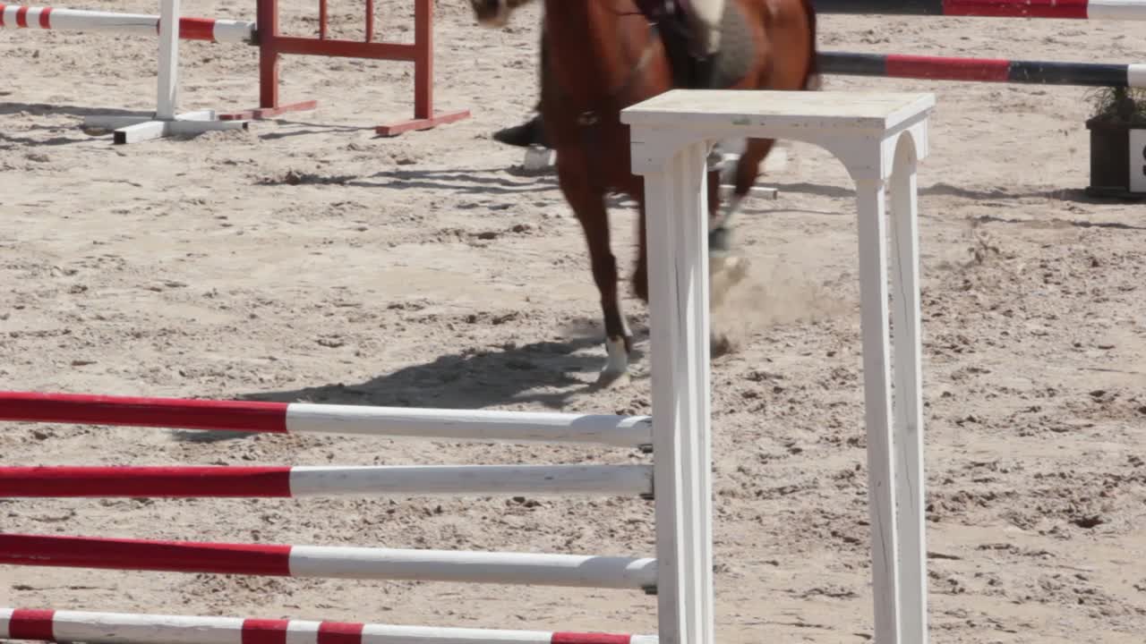 Un caballo no logra saltar los obstáculos en un torneo ecuestre de salto, salto fallido