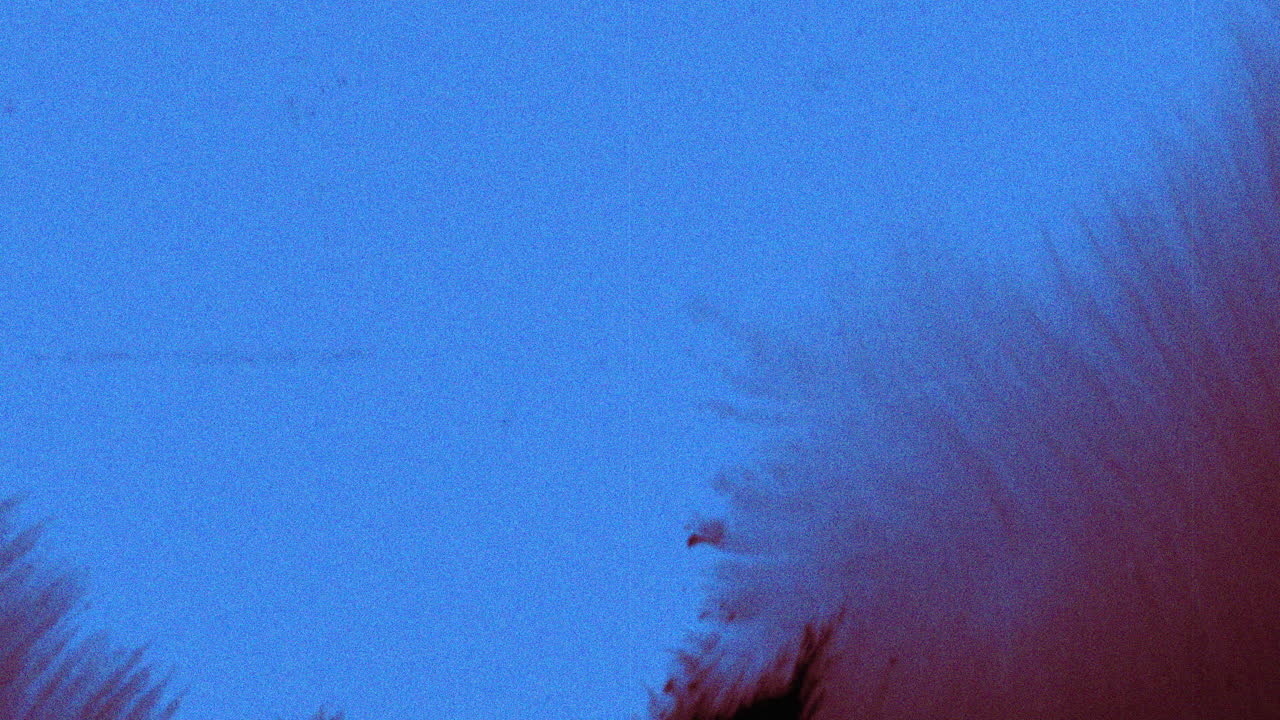 Misteriosa sfocatura viola e blu con macchie bianche