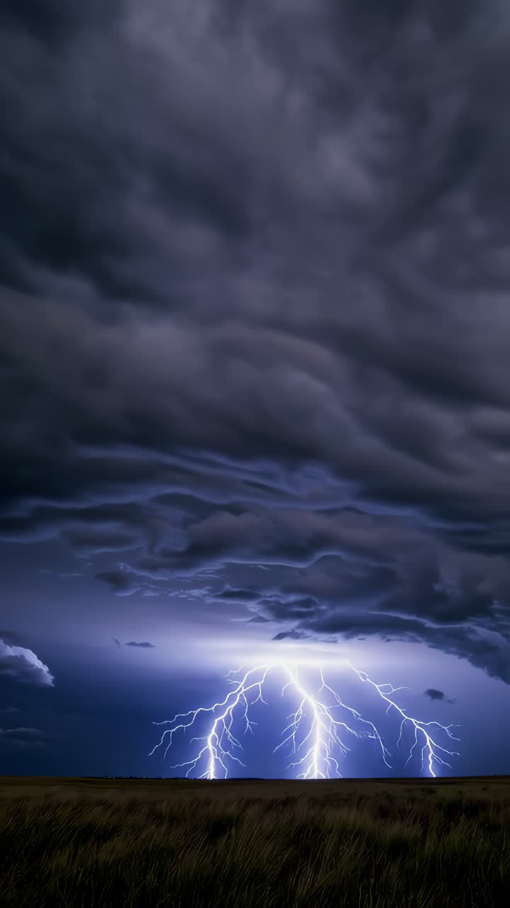 Lightning Storm over a Field