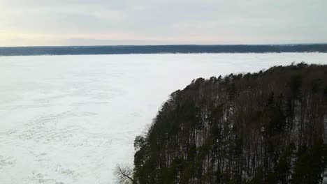 Drohnenaufnahme-Der-Bäume-Am-Ufer-Des-Zugefrorenen-Sees-An-Einem-Kalten,-Bewölkten-Wintertag