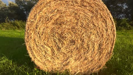 a rolled hay bale in a field in normandy at golden hour.