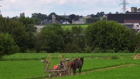 aerial rising shot of traditional amish horse transport on path between farm fields