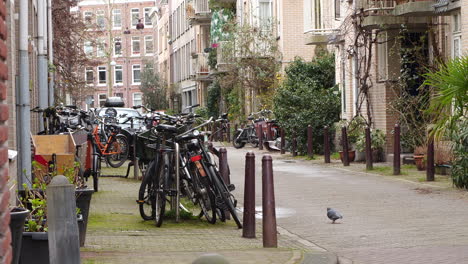 Vergrößern-Sie-Geparkte-Fahrräder-In-Amsterdam,-Während-Ein-Vogel-Herumläuft