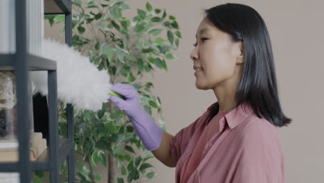 Woman cleaning shelves
