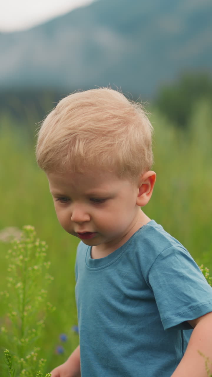 Adorable toddler boy in blue t-shirt plays with high green grass walking in wild lush meadow in valley on spring day closeup slow motion