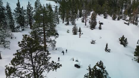 Aerial-view-of-hikers-hiking-along-Eagle-Falls-trail,-Desolation-Wilderness,-Lake-Tahoe,-California