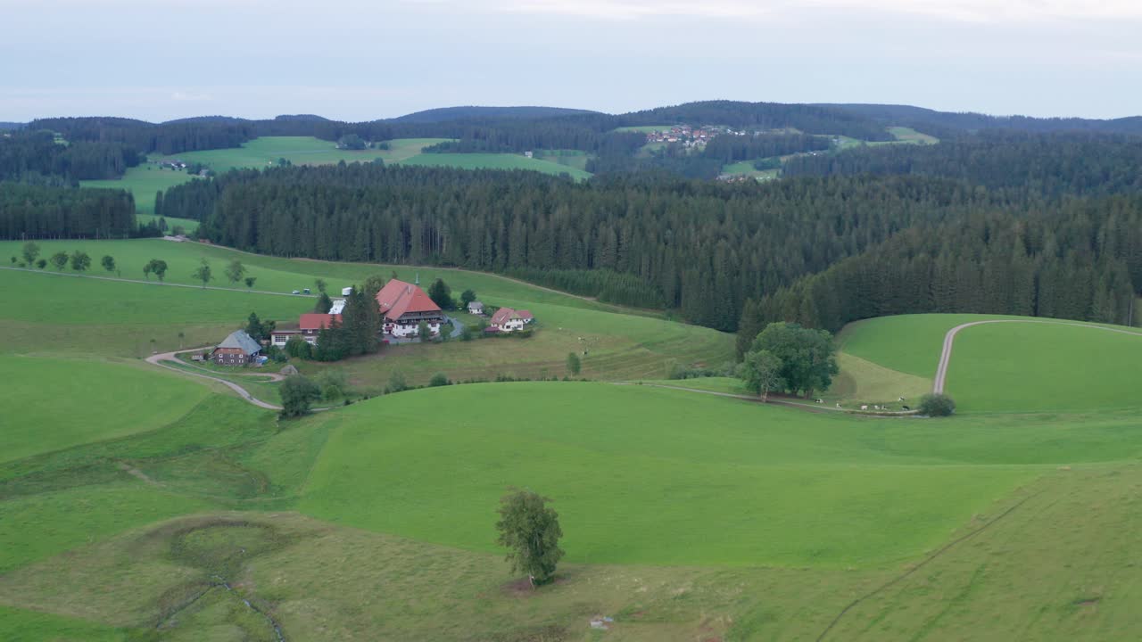 Idyllic cinematic Farmhouse at the black forest from the SWR "Die Fallers" with meadow and fir trees wood forest aerial drone panorama approached shot
