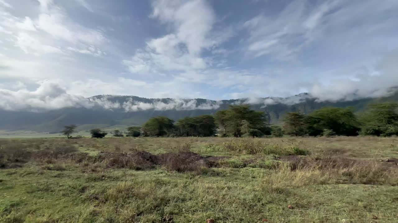 View from a car driving over the Ngorongoro Crater, Tanzania.