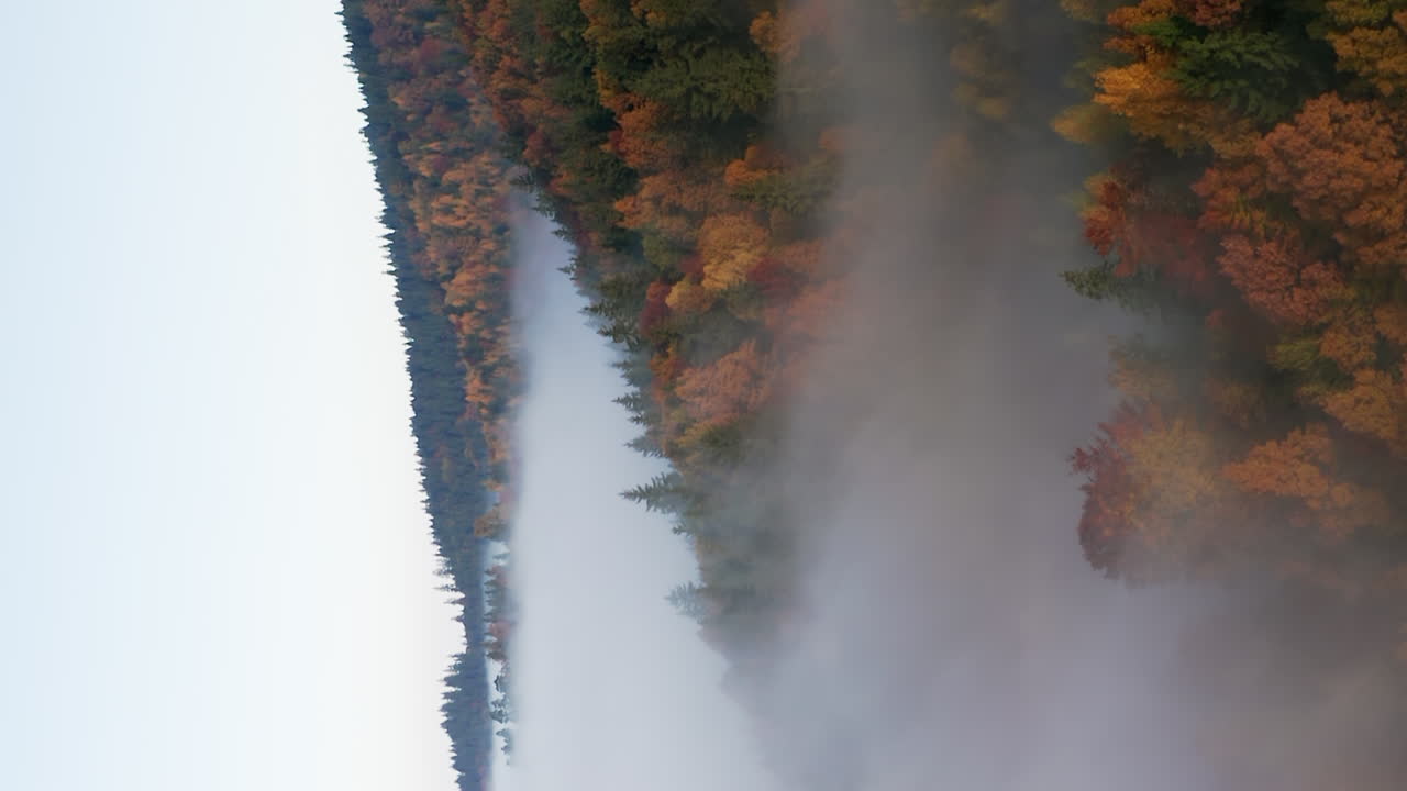 Vertical Shot Of Thick Foggy Clouds Covering Dense Forest With Autumnal Foliage
