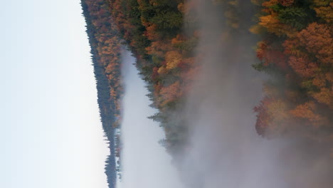 disparo vertical de gruesas nubes de niebla que cubren el denso bosque con follaje de otoño