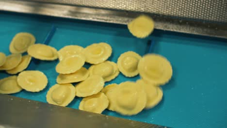 many-types-of-high-quality-pasta-been-produced-at-a-large-modern-pasta-factory