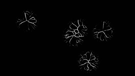 Simulated-animation-of-several-organisms-starting-small-and-slowly-expanding