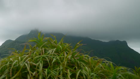 landscapes-in-Seychelles-showing-the-nature,-maountains,-houses-and-islands-on-the-main-island-Mahe