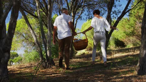 pareja con canasta de mimbre caminando en el bosque 4k