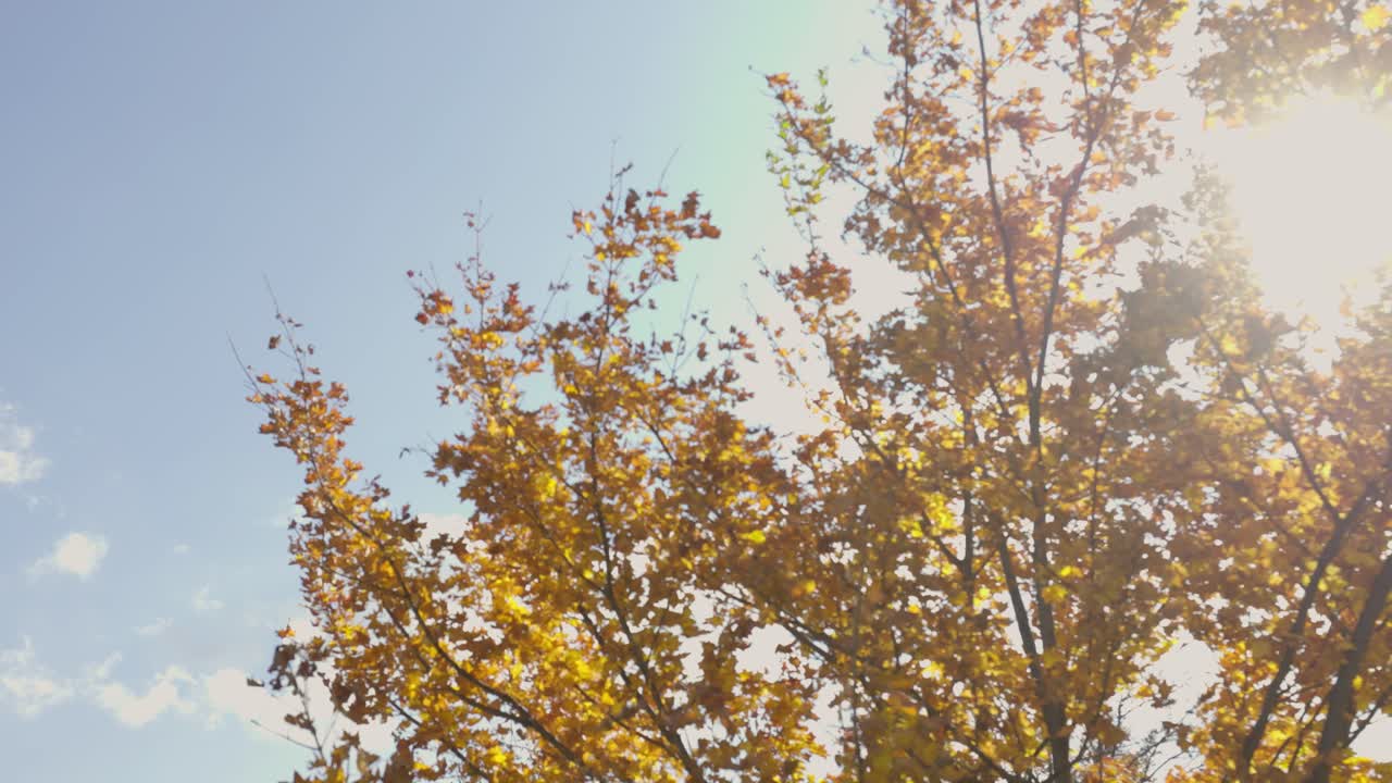 la mejor vista en otaru