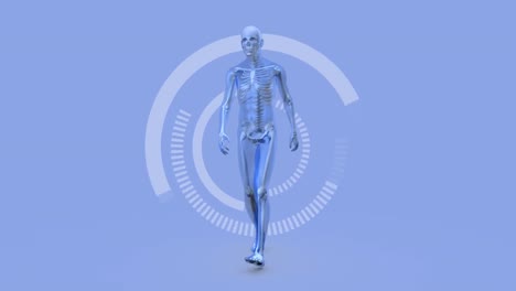 Animation-of-scope-scanning-with-human-skeleton-on-lilac-background