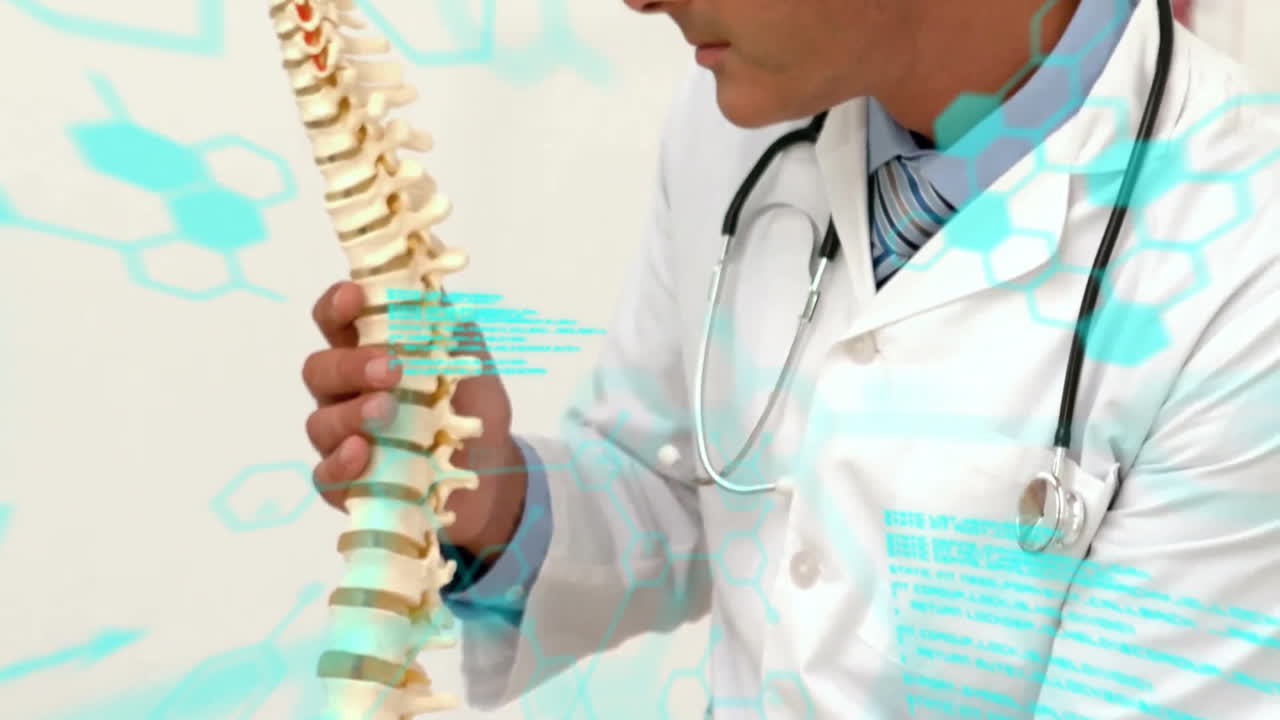 Holding spine model, doctor with medical data animation overlaid in hospital