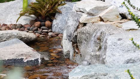 small waterfall flowing over rocks and plants