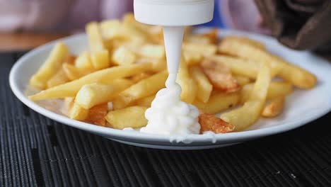 french fries with mayonnaise