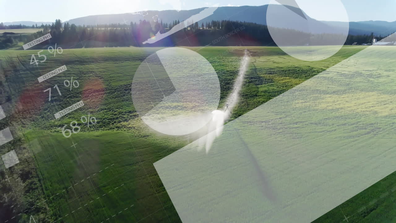 Flying over green landscape, white bird with animation overlay of data visualization
