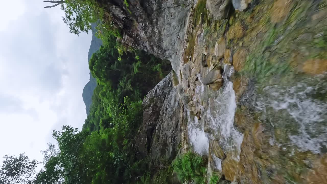 vuelo aéreo cinematográfico a lo largo de un río de flujo lento en la selva tropical del caribe