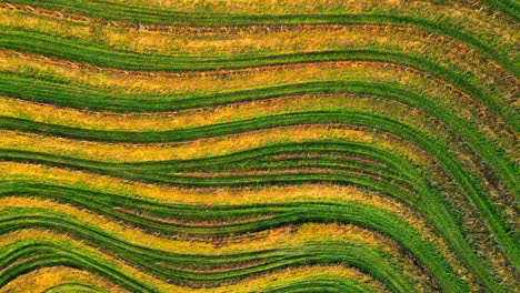 Atemberaubende-4K-Drohnenaufnahmen-Aus-Der-Luft-Einer-Weinregion-In-Jerusalem,-Slowenien