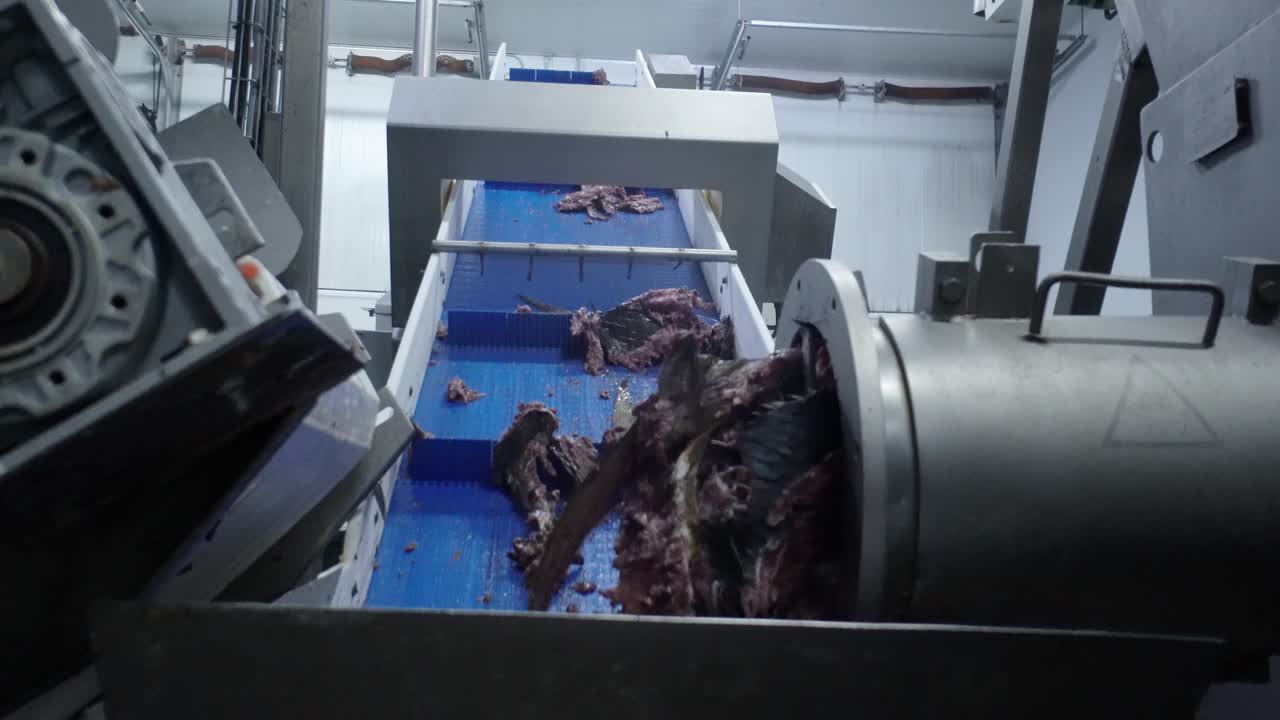 어업 산업: 해산물 부분을 위한 물고기 필레 자동 선택기